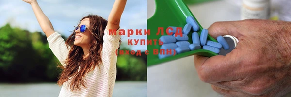 меф Вяземский