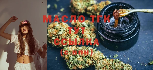 гидра Вязьма