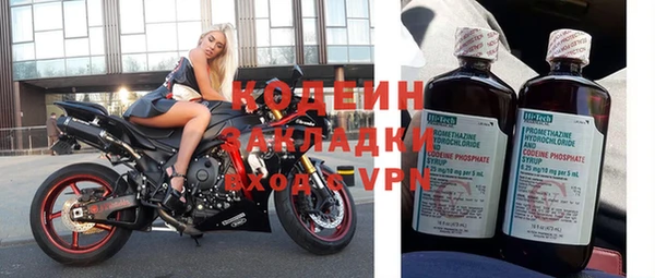 гидра Вязьма
