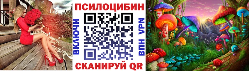 что такое   KRAKEN зеркало  Псилоцибиновые грибы Psilocybe  Отрадный 