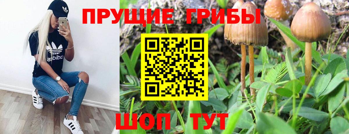 Галлюциногенные грибы прущие грибы Отрадный